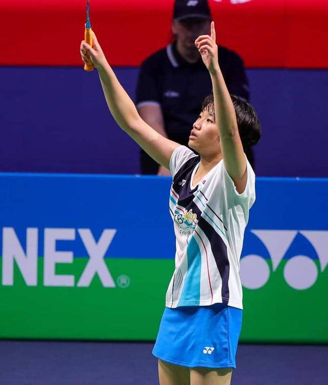 可替代的地 可替代的地