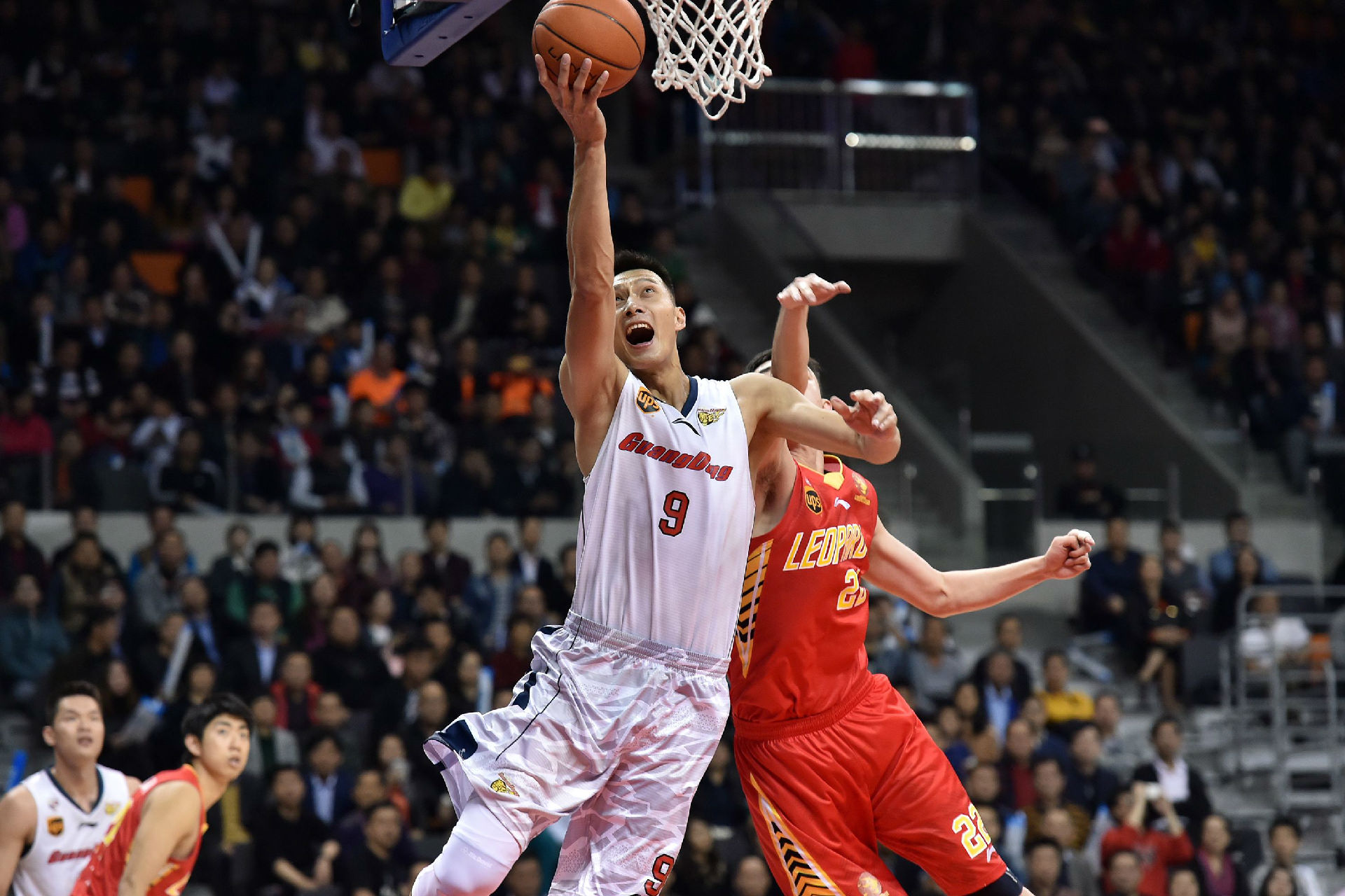 而是体系的 而是体系的